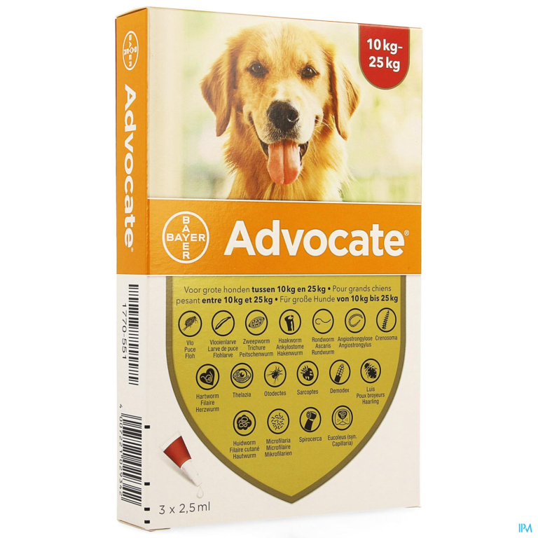 Advocate Spot On Grote Hond >10-25kg Pipet 3