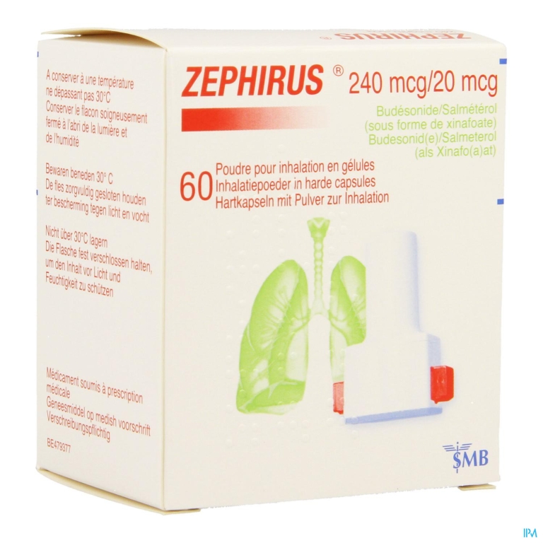 Zephirus 240mcg/20mcg Pdr Inhal. 60 Gel + 1 Inhal.