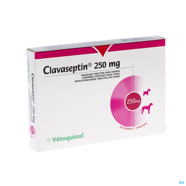 Clavaseptin 250mg Comp 10