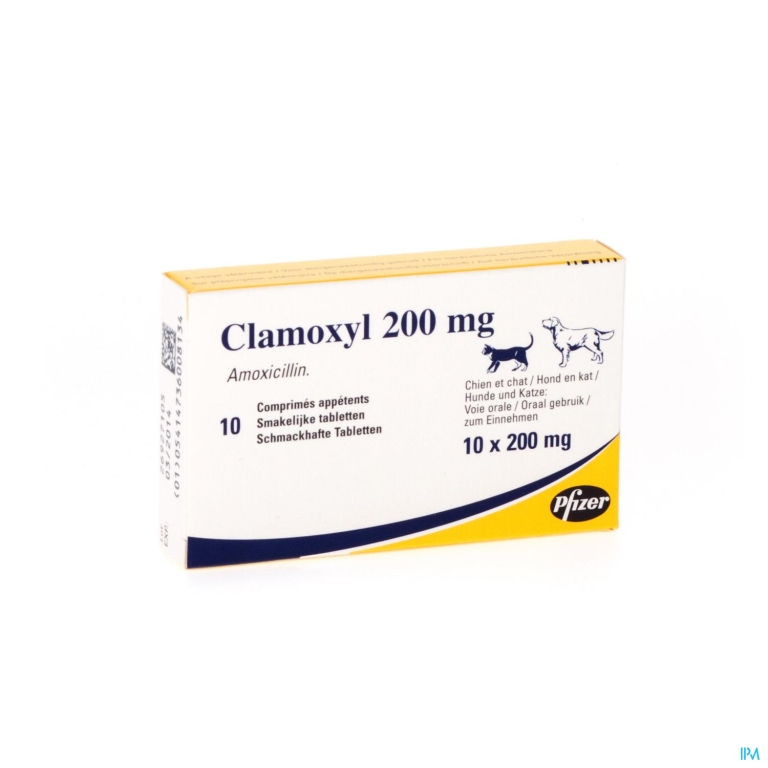 Clamoxyl Comp. Smakel. 10 X 200mg