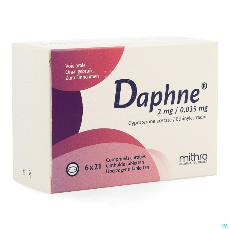 Daphne Comp 6 X 21