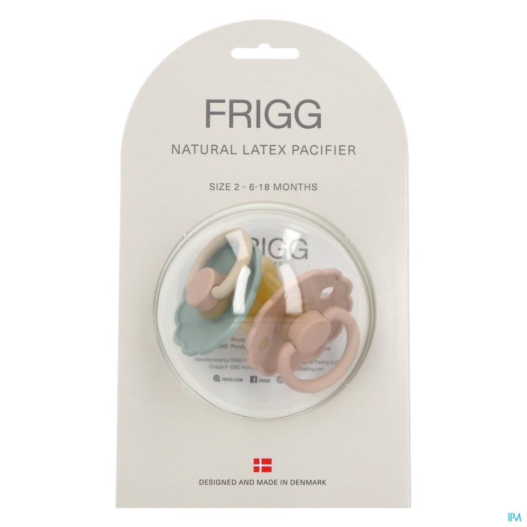 Frigg Daisy Fopspenen Latex T2 Willow/gold 2